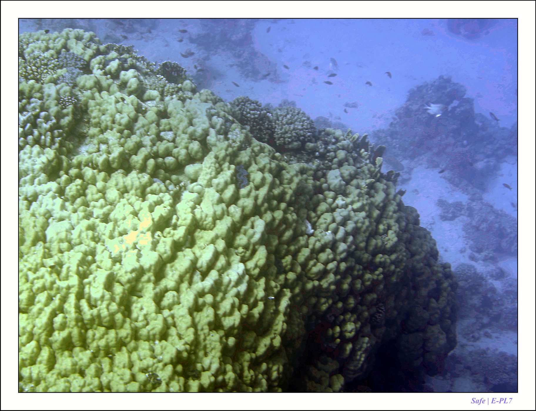 2023 - 03 - Charm El Sheikh - 01